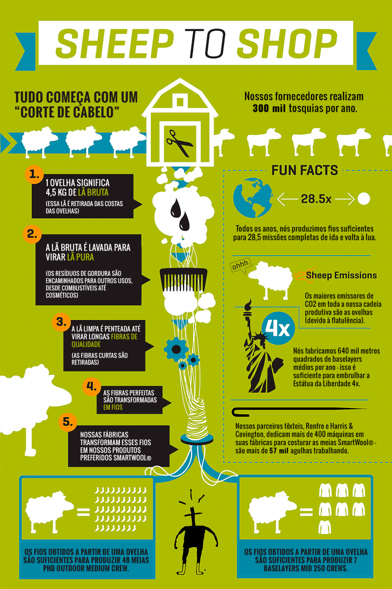 sheep_to_sock_infografico