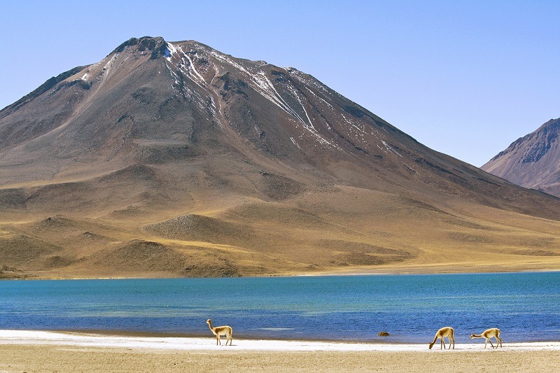 Laguna Miscanti, Chile - Foto: Dimitry B./Flickr - Creative Commons