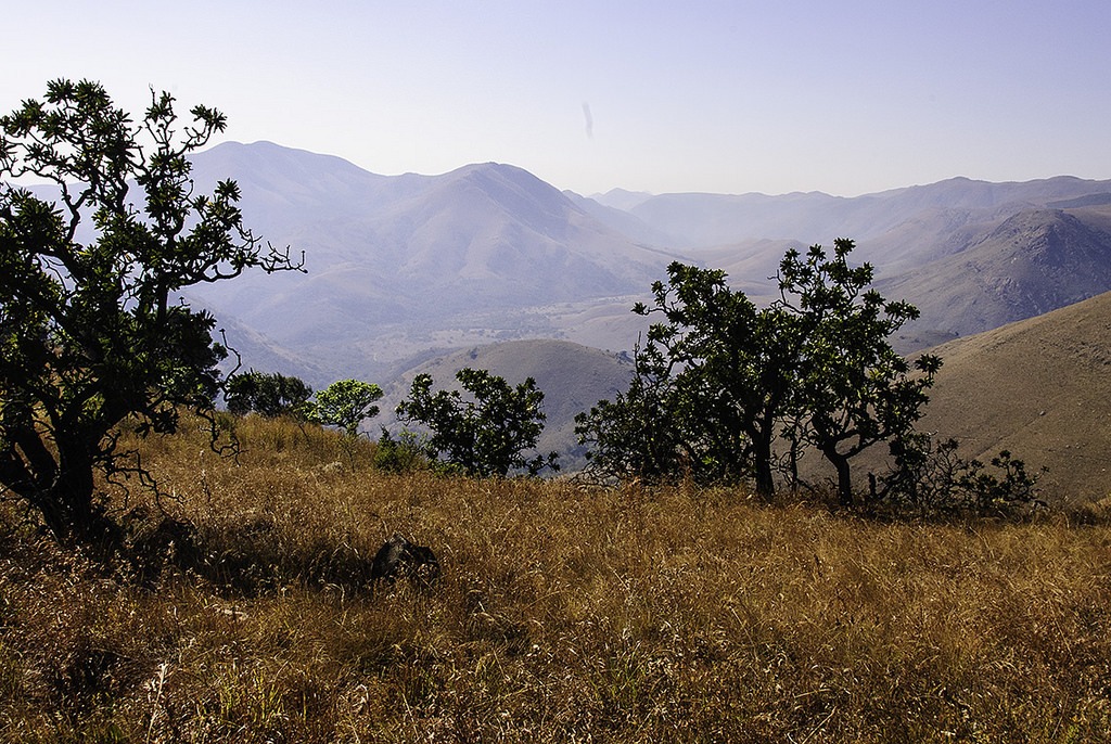 Barberton Makhonjwa Mountains_africa do Sul