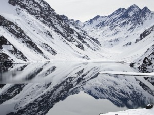 O Fantástico Guia da Neve