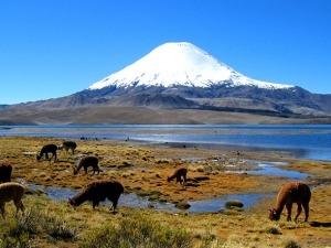 Destinos para trekking #4 – Parinacota