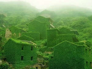 Fotos mostram o que acontece quando a natureza age sem interferência humana