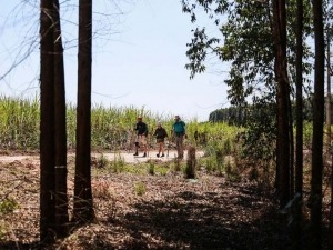 Conheça o Caminho do Sol – um preparatório brasileiro para o Caminho de Santiago