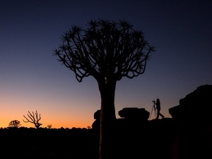 Dicas para fotografar no deserto