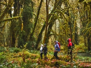 4 dicas para se desconectar e curtir mais a natureza