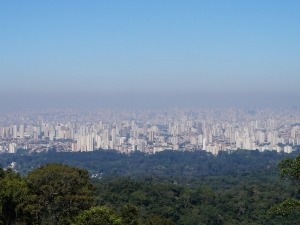 Parque da Cantareira é uma das maiores florestas urbanas do mundo