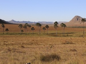 Parque Nacional da Chapada dos Veadeiros está aberto ao público