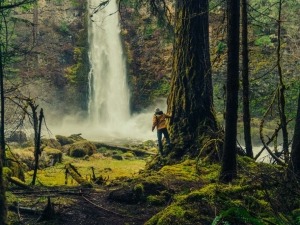 #ReflexõesDaQuarentena: A natureza também precisava de um tempo