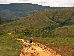 Parque Estadual do Juquery é opção ideal para quem busca trilhas perto de SP