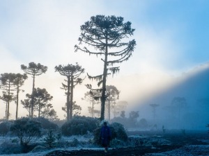 7 lugares incríveis na Serra Catarinense